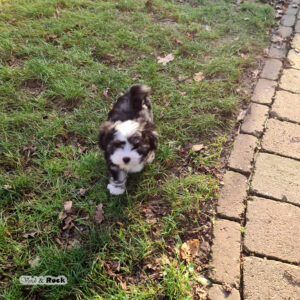 20231217_113938 - Kopie - Kopie - Kopie