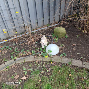 20231217_114052 - Kopie - Kopie (2) Kopie