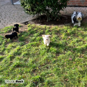 20231217_114131 - Kopie