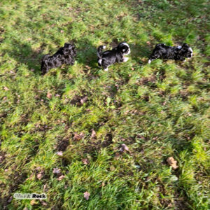 20231217_114228 - Kopie