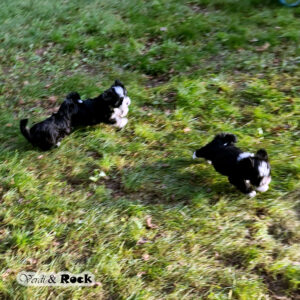 20231217_114230 - Kopie (3) Kopie