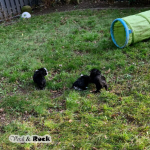 20231217_114236 - Kopie