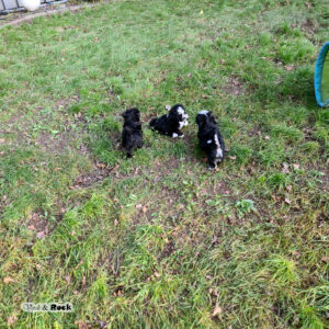 20231217_114245 - Kopie