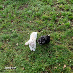 20231217_114309 - Kopie