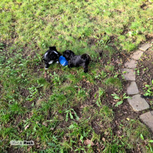 20231217_114329 - Kopie