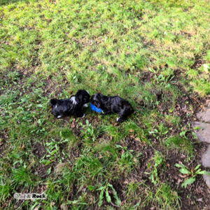 20231217_114330 Kopie