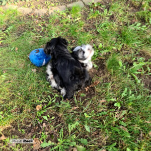 20231217_114555 Kopie