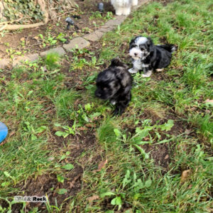 20231217_114558(0) Kopie