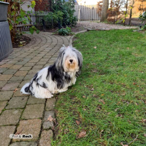 20231217_114716 Kopie