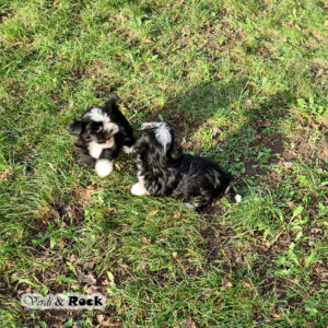 20231217_120535 Kopie