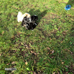 20231217_120549 Kopie