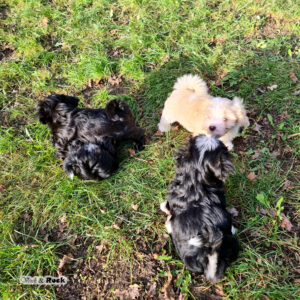 20231217_120601 Kopie