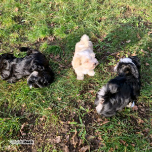 20231217_120602 Kopie