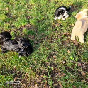 20231217_120603 Kopie