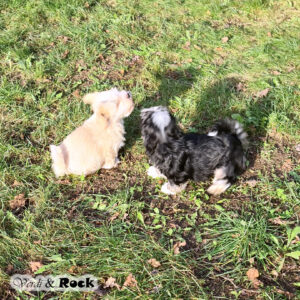 20231217_120606 Kopie